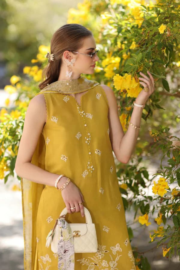 D1 - B - Mango Yellow 3